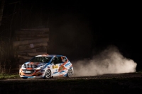 Petr Gargulk - Petr Hanzlk (Peugeot 208 R2) - Kowax Valask Rally ValMez 2019