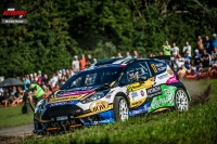 Martin Vlek - Jindika kov (Ford Fiesta R5) - Barum Czech Rally Zln 2016