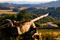 Ott Tnak - Martin Jrveoja (Toyota Yaris WRC) - ADAC Rallye Deutschland 2019