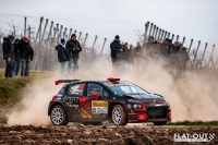 Rally van Haspengouw 2025
