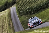Thierry Neuville - Nicolas Gilsoul (Hyundai i20 WRC) - Rallye Deutschland 2014