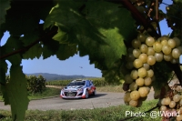 Bryan Bouffier - Xavier Panseri (Hyundai i20 WRC) - Rallye de France 2014