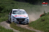 Jan ern - Pavel Kohout (Peugeot 208 R2) - Agrotec Petronas Syntium Rally Hustopee 2013