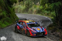 Oliver Solberg - Elliott Edmondson (Hyundai i20 N Rally1) - Repco Rally New Zealand 2022