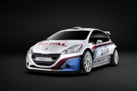 Peugeot 208 R5