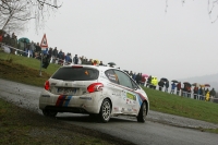 Jan ern - Pavel Kohout (Peugeot 208 R2) - Rallye umava Klatovy 2013