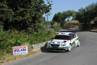 Jan Kopeck - Pavel Dresler, koda Fabia S2000 - Targa Florio 2012