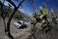 Andreas Mikkelsen - Mikko Markkula (Volkswagen Polo R WRC) - Rally Guanajuato Mxico 2014