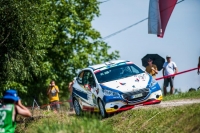 Filip Mare - Jan Hlouek (Peugeot 208 R2) - Rally Rzeszow 2017