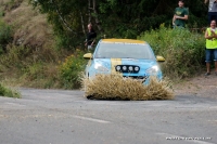 Rallye Deutschland 2013