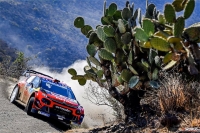 Esapekka Lappi - Janne Ferm (Citron C3 WRC) - Rally Guanajuato Mxico 2019