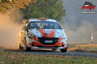 Ren Dohnal - Roman vec (Peugeot 208 R2) - SVK Rally Pbram 2018