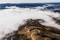 Rally Chile 2024