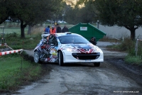 Robert Consani - Maxime Vilmot (Peugeot 207 S2000) - Rallye du Valais 2014