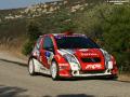 Prokop - Sharkie
