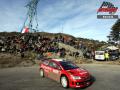 Loeb - Sharkie
