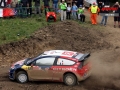 Loeb - Sharkie