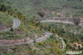 Cachon