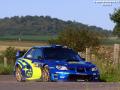 Solberg P - Sharkie