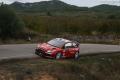 Loeb - Sharkie