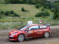 Loeb - Sharkie