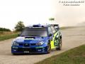 Sarrazin - Sharkie