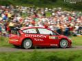 Loeb - Sharkie
