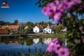 Stejskal sen