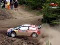 Sordo - Sharkie