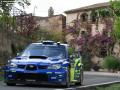 Solberg P - Sharkie