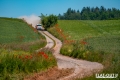 Lassila