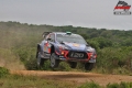 Paddon - Jrg Ullmann