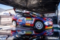 Suninen