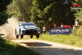 Suninen