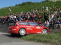 Sordo - Sharkie