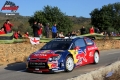 Sordo - Sharkie