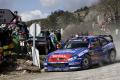 Pons - -media-