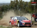 Loeb - Sharkie