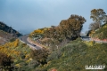 Ogier