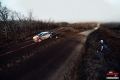 Paddon