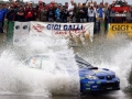 Solberg P - Sharkie