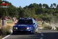 Solberg P - Sharkie