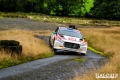 Paddon - Sven Kollus