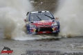 Loeb - -media-