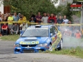 Pech - Sharkie