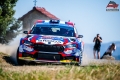 Suninen