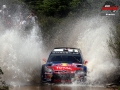 Loeb - Sharkie