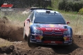 S Loeb - Tomasz Bugiel