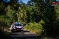 Suninen