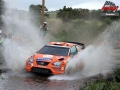 Solberg H - Sharkie